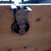 Cassone a zoccolo Cod. 3112